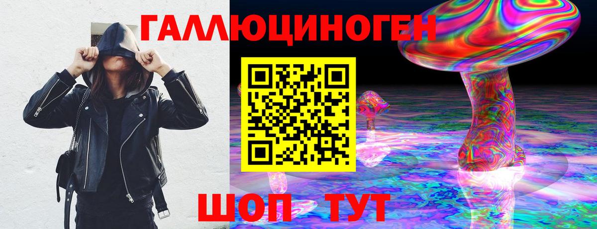 Псилоцибиновые грибы мицелий  Вход с VPN  купить наркотики сайты  Псилоцибиновые грибы прущие грибы  Гудермес 